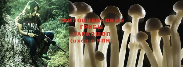 ECSTASY Бородино
